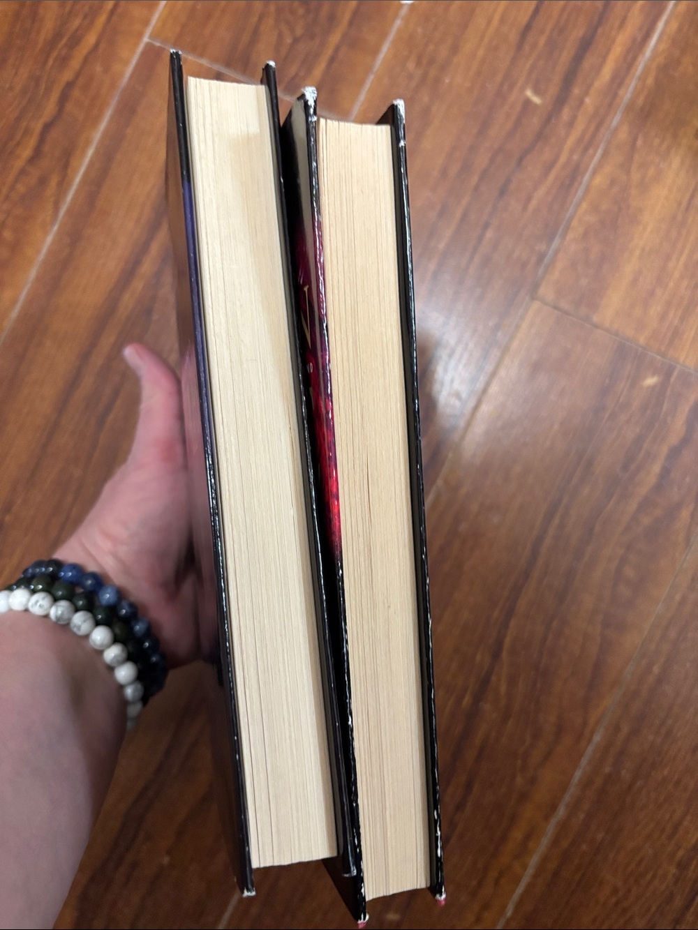 2Book Bundle by Tim LaHaye & Jerry B. Jenkins - Picture 10 of 10